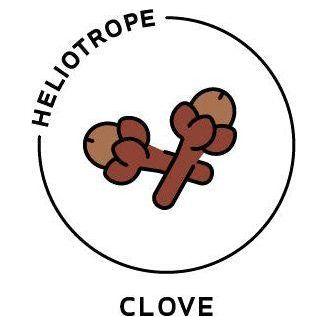 Heliotrope San Francisco Essential Oil - Clove Essential Oil