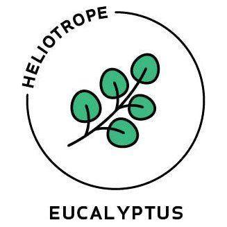 Heliotrope San Francisco Essential Oil - Eucalyptus Essential Oil