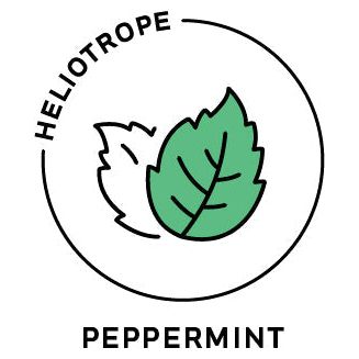 Heliotrope San Francisco - Essential Oil - Peppermint (Organic)