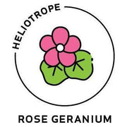 Heliotrope San Francisco Essential Oil - Rose Geranium Essential Oil