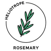Heliotrope San Francisco Essential Oil - Rosemary Essential Oil