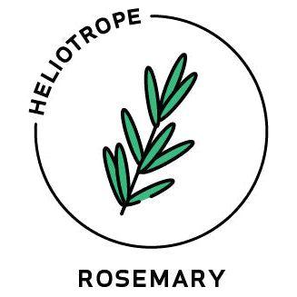 Heliotrope San Francisco - Essential Oil - Rosemary 1oz- 8oz. 