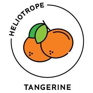 Heliotrope San Francisco Essential Oil - Tangerine Essential Oil