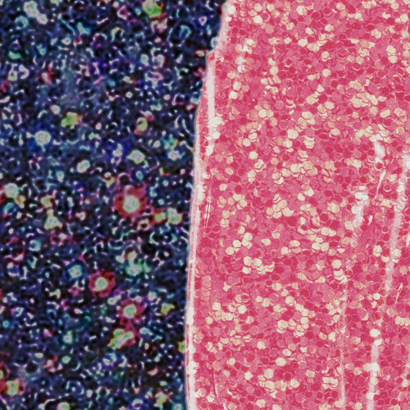 Profusion Cosmetics Jurassic World | It Can Camouflage! Holo Face & Body Glitter Gel Value Kits