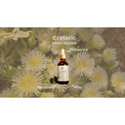 Altar Native (PRE-ORDER) Ecstatic ⟡ Kanna & Damiana Drops Tincture