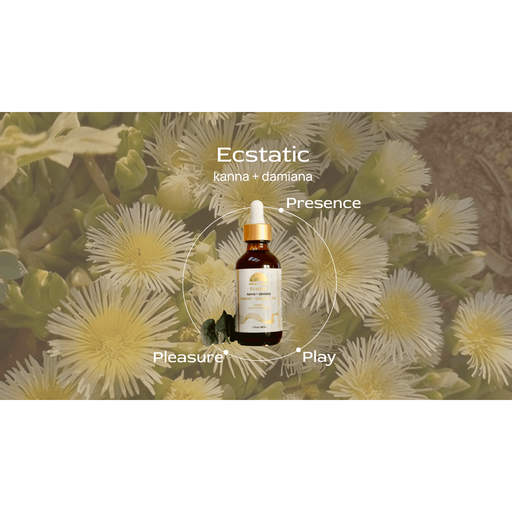 Altar Native (PRE-ORDER) Ecstatic ⟡ Kanna & Damiana Drops Tincture