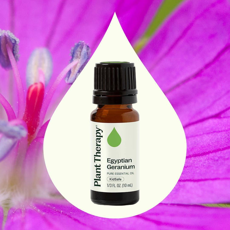 Plant Therapy Egyptian Geranium Essential Oil Essential Oil