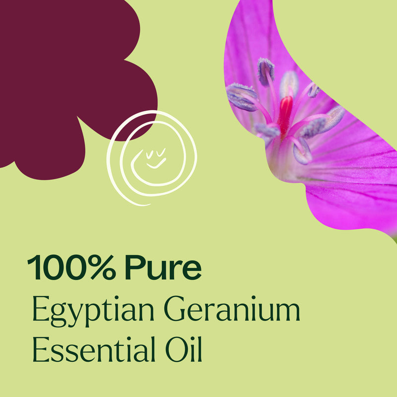 Plant Therapy Egyptian Geranium Essential Oil Essential Oil