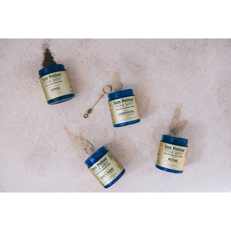 Sun Potion Lion's Mane (Organic) 100 grams Adaptogen