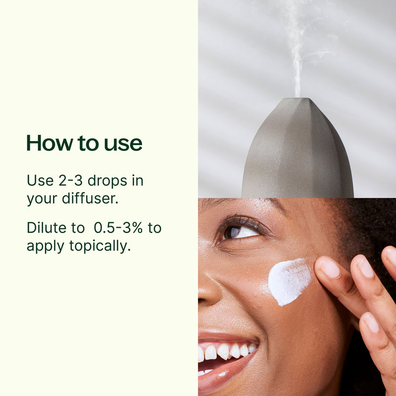 Plant Therapy Elemi Essential Oil Essential Oil