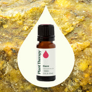 Plant Therapy Elemi Essential Oil Essential Oil