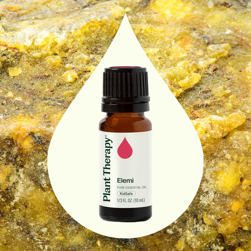 Plant Therapy Elemi Essential Oil Essential Oil