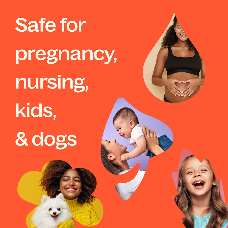 Plant Therapy Elemi Essential Oil Essential Oil