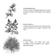 Slow North Embers + Leather - Signature Candle (Vetiver + Cedar + Patchouli) Frosted Candles