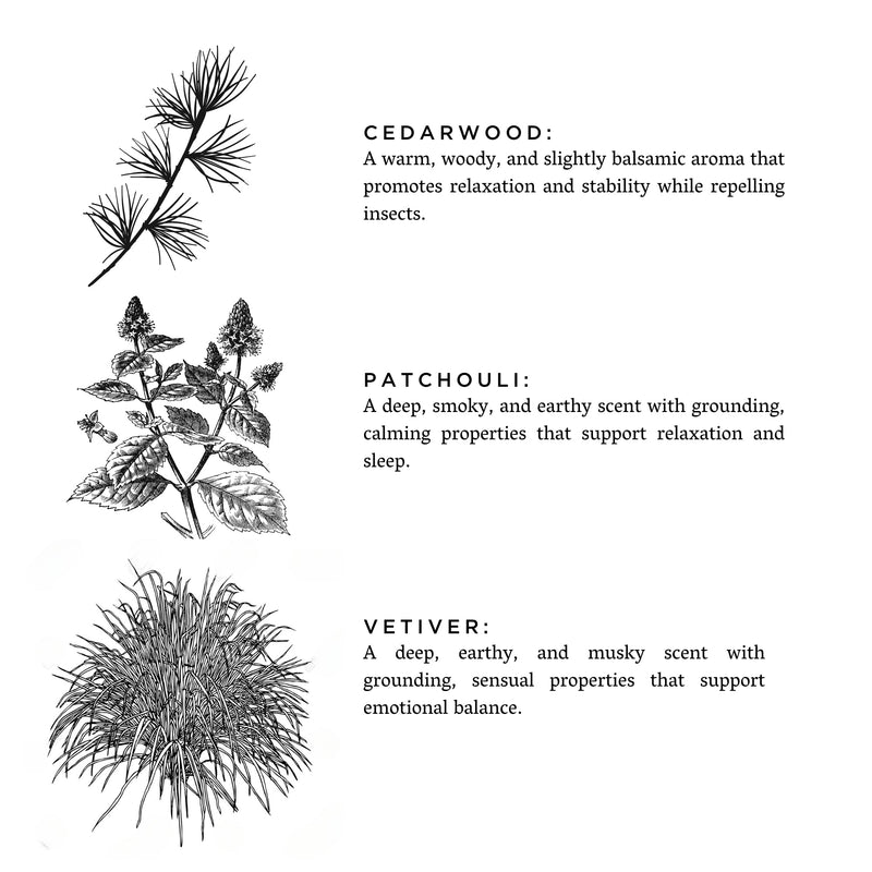Slow North Embers + Leather - Signature Candle (Vetiver + Cedar + Patchouli) Frosted Candles