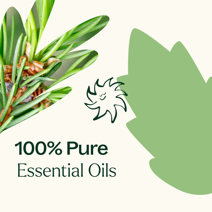 Endless Evergreen Essential Oil Blend