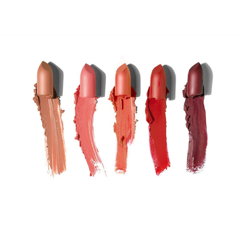 EpiLynx Vegan Matte Lipstick – Hydrating, Long-Wear, Magnetic Case lipstick