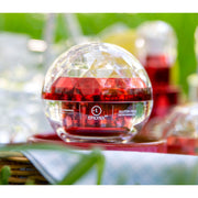 EpiLynx Ageless Hydrating & Firming Serum – Brightening, Vegan & Sensitive-Skin Safe Face Creams