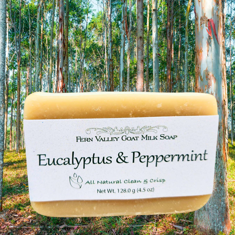 Fern Valley Soap Handmade Goat Milk Soap | All Natural Eucalyptus & Peppermint Soap Goat Milk Soap
