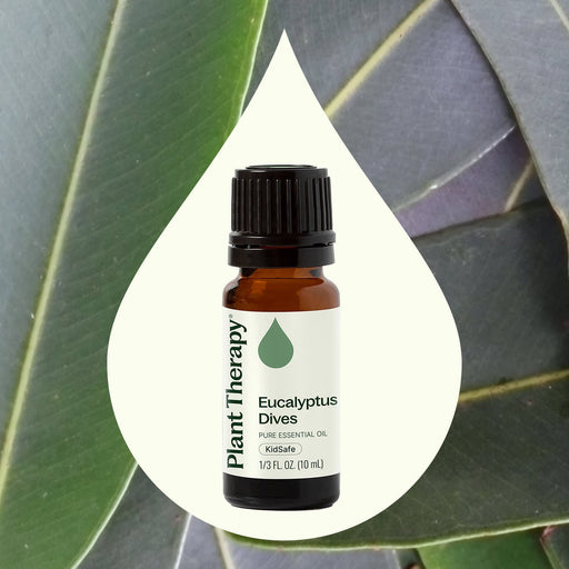 Plant Therapy Eucalyptus Dives Essential Oil Essential Oil
