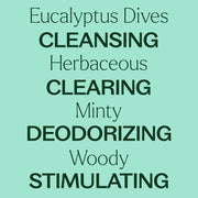 Plant Therapy Eucalyptus Dives Essential Oil Essential Oil
