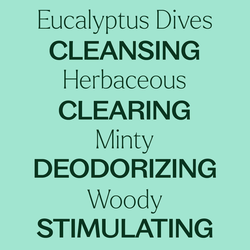 Plant Therapy Eucalyptus Dives Essential Oil Essential Oil