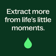 Plant Therapy Eucalyptus Dives Essential Oil Essential Oil