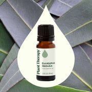 Plant Therapy Eucalyptus Globulus Essential Oil Essential Oil