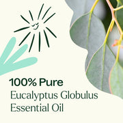 Plant Therapy Eucalyptus Globulus Essential Oil Essential Oil