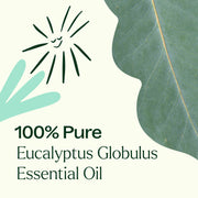 Plant Therapy Eucalyptus Globulus Essential Oil Pre-Diluted Roll-On Essential Oil