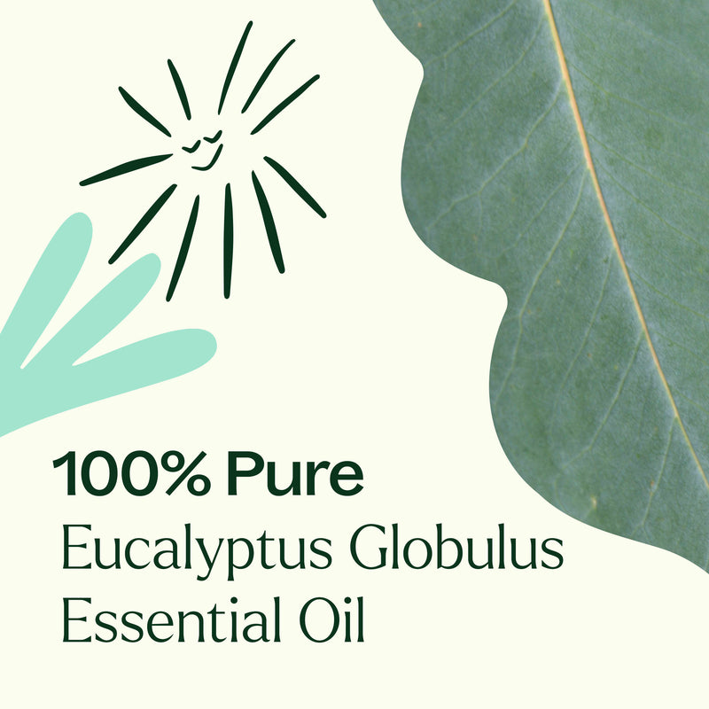 Plant Therapy Eucalyptus Globulus Essential Oil Pre-Diluted Roll-On Essential Oil