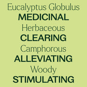 Plant Therapy Eucalyptus Globulus Essential Oil Essential Oil