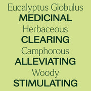 Plant Therapy Eucalyptus Globulus Essential Oil Essential Oil