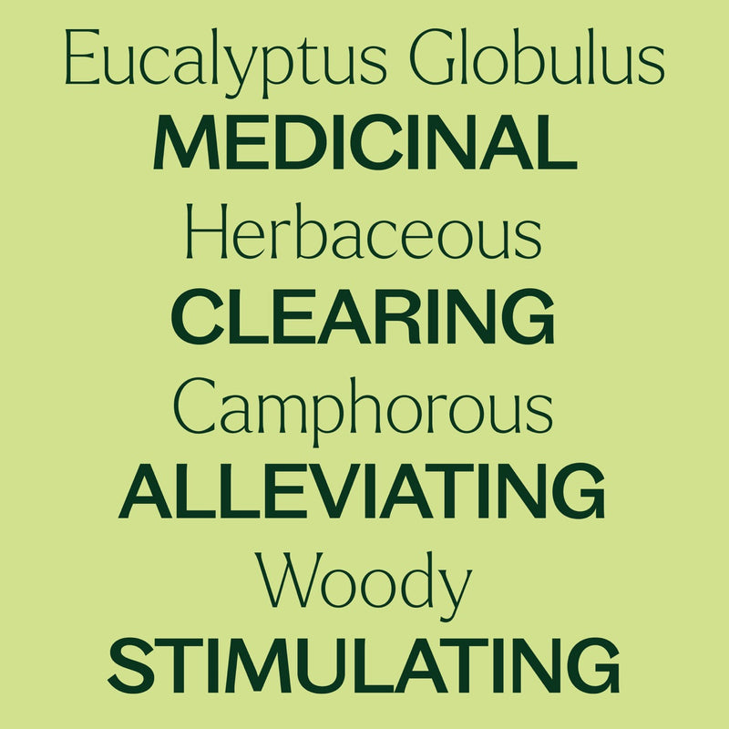 Plant Therapy Eucalyptus Globulus Essential Oil Essential Oil