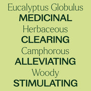 Plant Therapy Eucalyptus Globulus Essential Oil Pre-Diluted Roll-On Essential Oil
