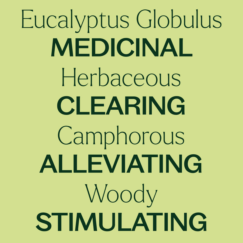 Plant Therapy Eucalyptus Globulus Essential Oil Pre-Diluted Roll-On Essential Oil