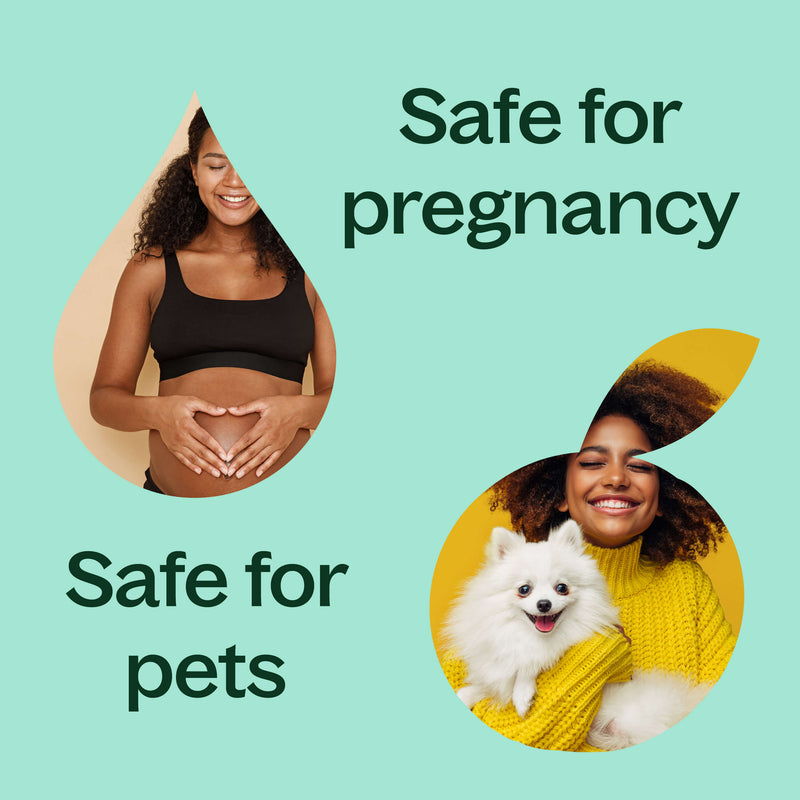 Plant Therapy Eucalyptus Globulus Essential Oil Essential Oil