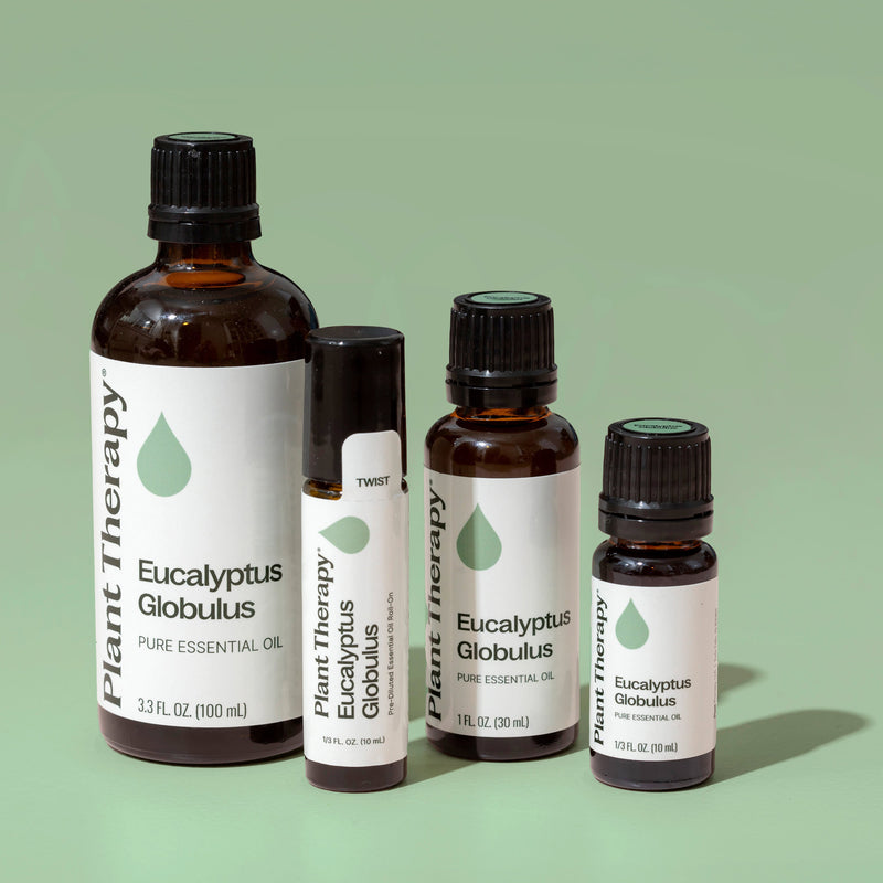 Plant Therapy Eucalyptus Globulus Essential Oil Pre-Diluted Roll-On Essential Oil