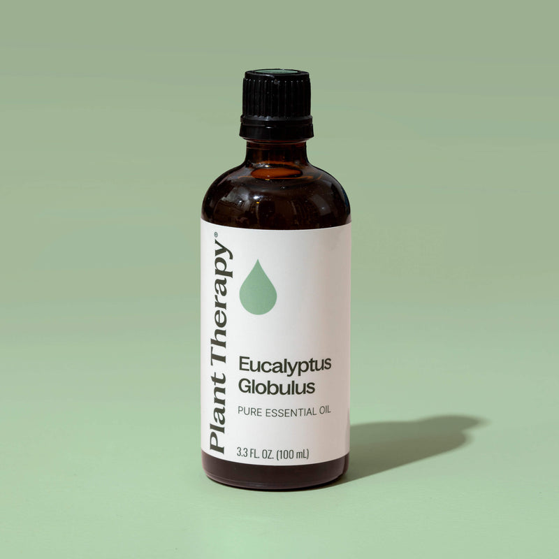 Plant Therapy Eucalyptus Globulus Essential Oil Essential Oil
