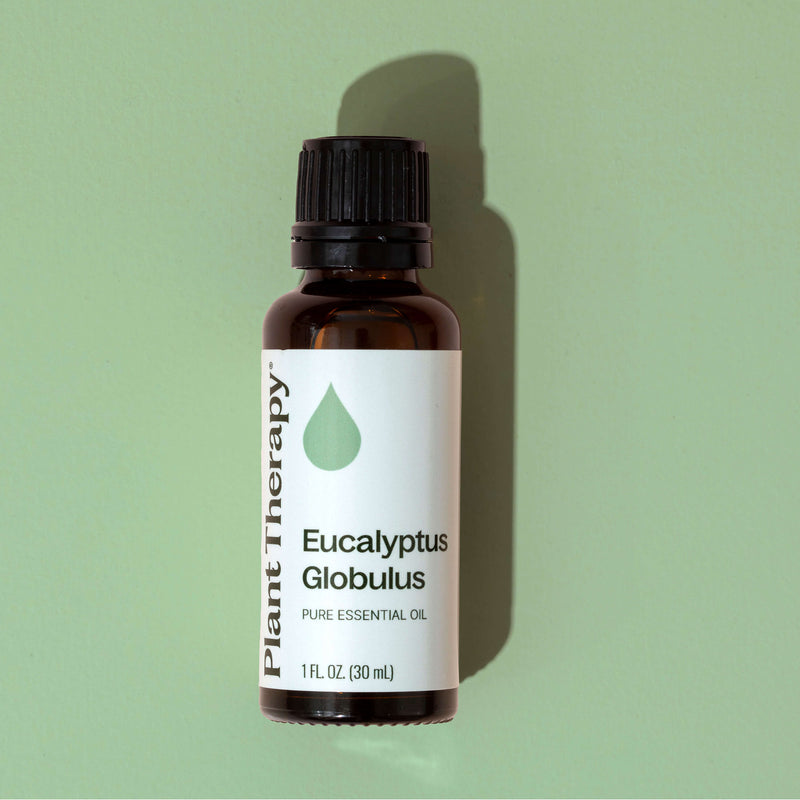 Plant Therapy Eucalyptus Globulus Essential Oil Essential Oil