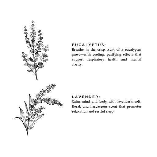 Slow North Laundry Powder - Eucalyptus + Lavender Home Accessories