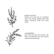 Slow North Laundry Powder - Eucalyptus + Lavender Home Accessories