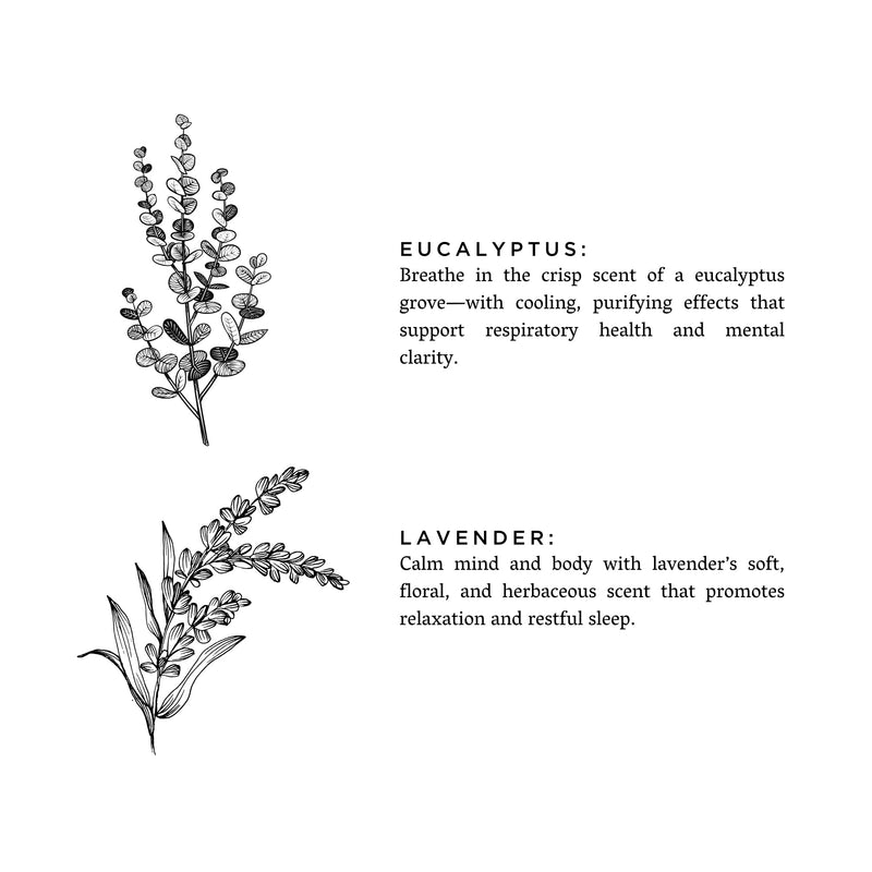 Slow North Laundry Powder - Eucalyptus + Lavender Home Accessories