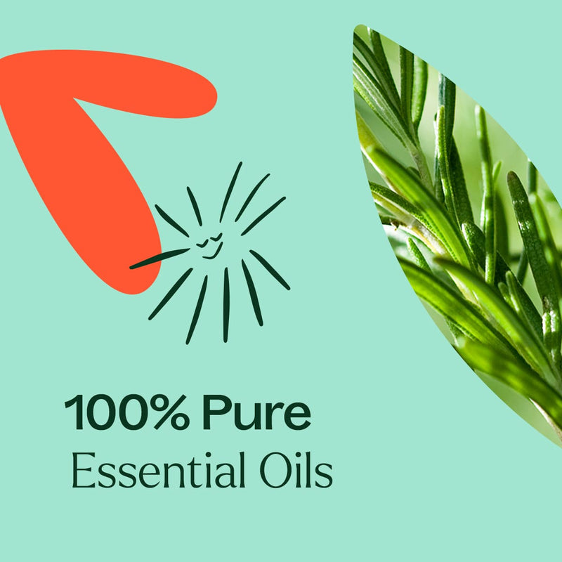 Plant Therapy Eucalyptus Mint Essential Oil Blend Essential Oil