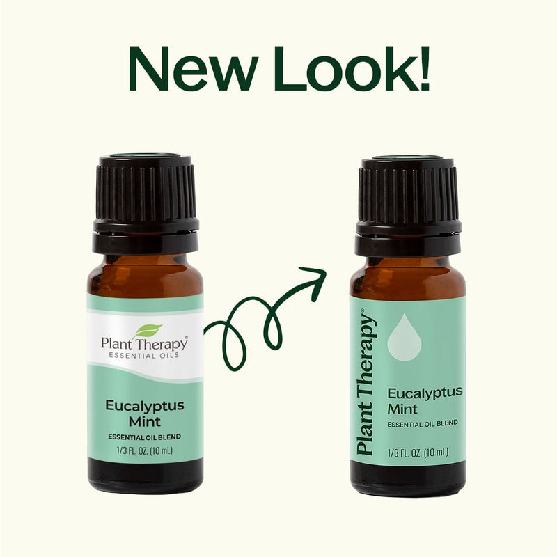 Eucalyptus Mint Essential Oil Blend