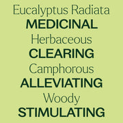 Plant Therapy Eucalyptus Radiata Essential Oil Essential Oil