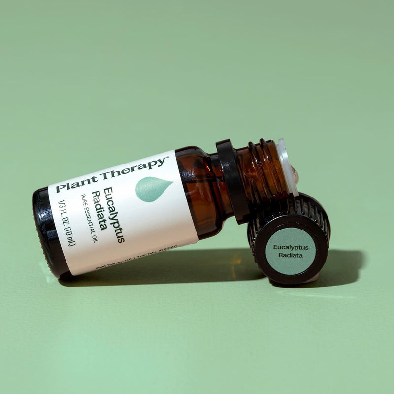 Plant Therapy Eucalyptus Radiata Essential Oil Essential Oil