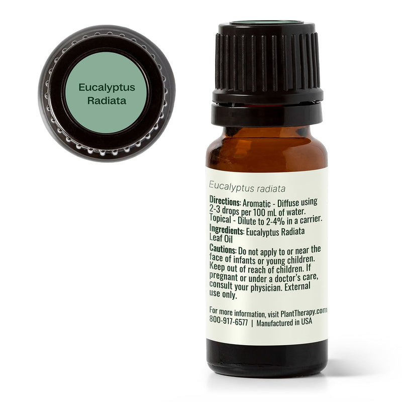 Plant Therapy Eucalyptus Radiata Essential Oil Essential Oil