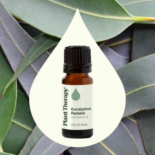 Plant Therapy Eucalyptus Radiata Essential Oil Essential Oil