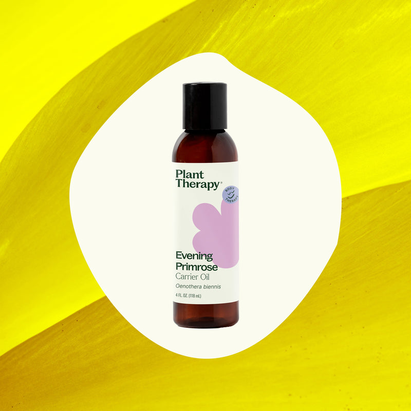 Plant Therapy Evening Primrose Carrier Oil Body Care